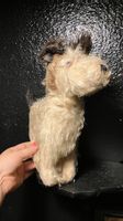 Peluche Chien Hund Steiff ? antik