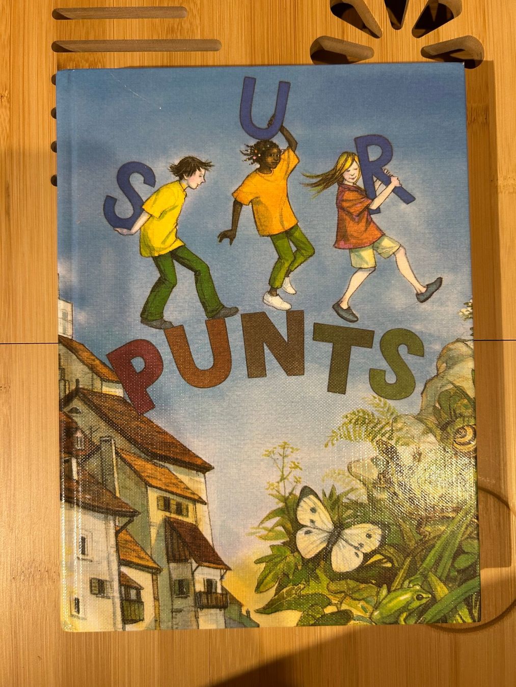 Bücher: "Sur Punts" (Rätoromanisch) – Gebraucht aus Viganello von moraine