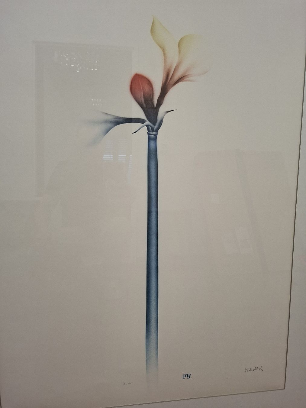 Grafica & Litografie: Paul Wunderlich Lithographie Amaryllis – Usato da Volketswil venduto da benluke 1