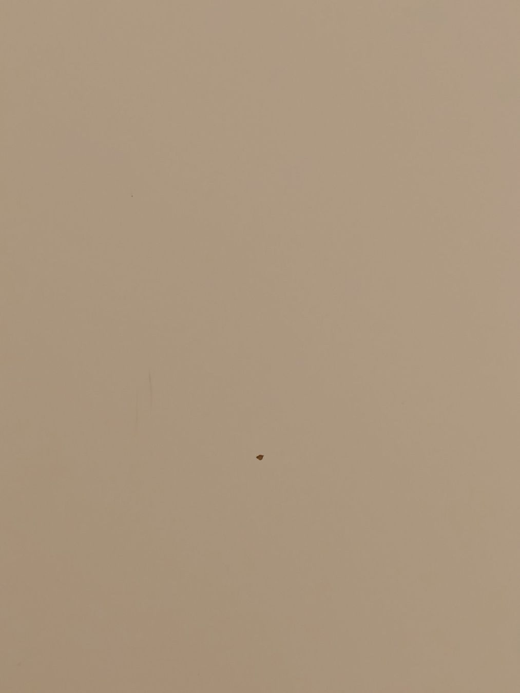Ikea Bureaux: Bürotisch Ikea RODULF – Neuf (Voir description) à Rotkreuz par ballou24 2