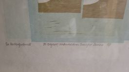 Originalbild Fredi Businger