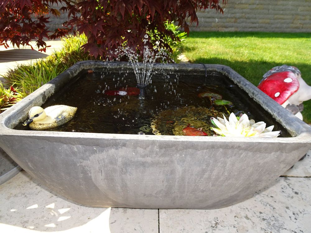 Colibri Fountain pond MiniTeich viereckig *** FABRIKNEU *** Kaufen