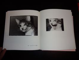 MASAHISA Fukase Fotoklassiker Katze