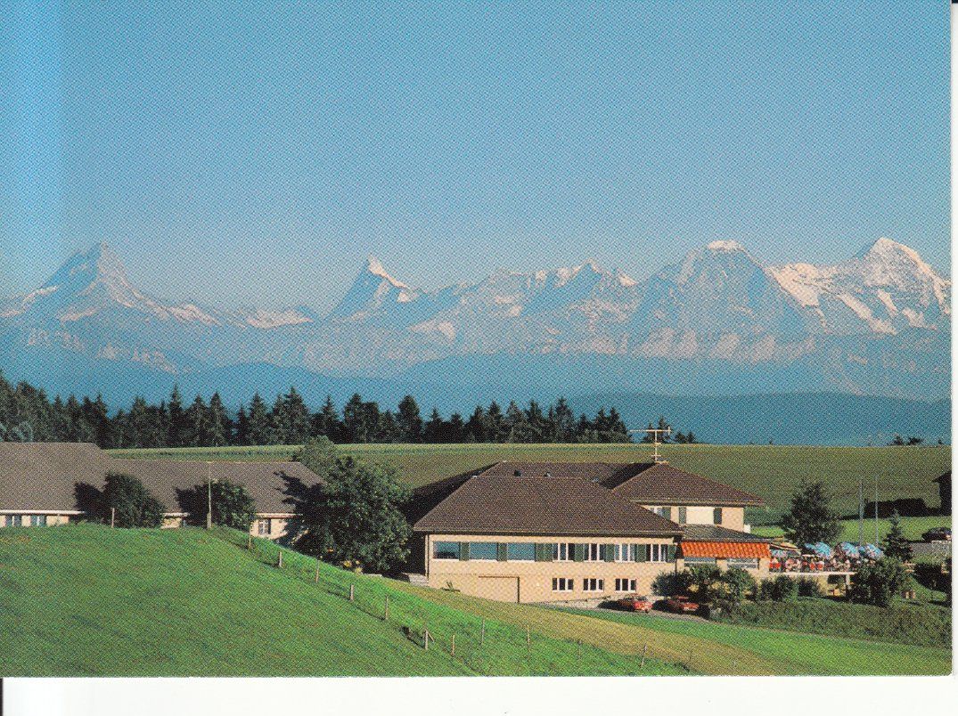 Cartoline postali: Utzigen Mäziwilegg ca. 1975 – Usato da Bürglen TG venduto da StampGraf