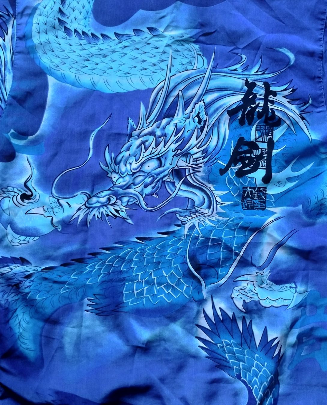 Hemden: Hemd Guo Thi Ting Vintage L – Gebraucht aus Bern von verateinilae 2