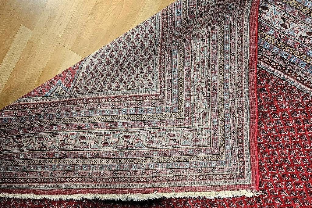 Tapis: Orientteppich – D'occasion à Pfäffikon ZH par HeinzH010203 2