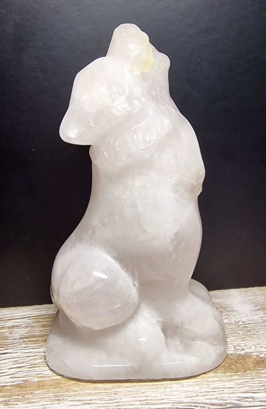 Minerali & Pietre curative: Bergkristall Wolf 848g – Nuovo (secondo la descrizione) da Matzingen venduto da Shay_Crystalz 2