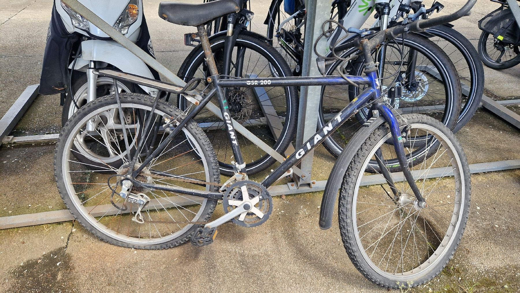 Giant Biciclette: vélo Giant pas rouler depuis longtemps – Usato da Les Acacias venduto da str_6prq