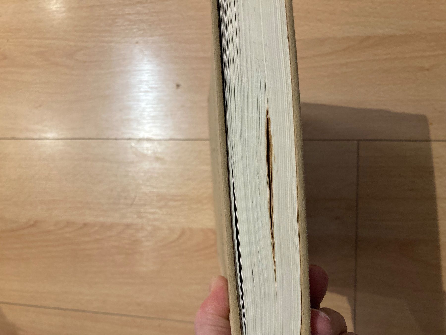 Libri: Entwicklung der Kunst in der Schweiz 1914 – Usato da Adliswil venduto da tchest007 4
