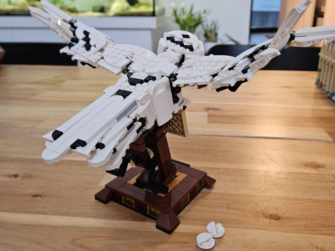 Lego Giocattoli: Lego Set Hedwig 75979 – Usato da Aesch BL venduto da bimmigelb 3