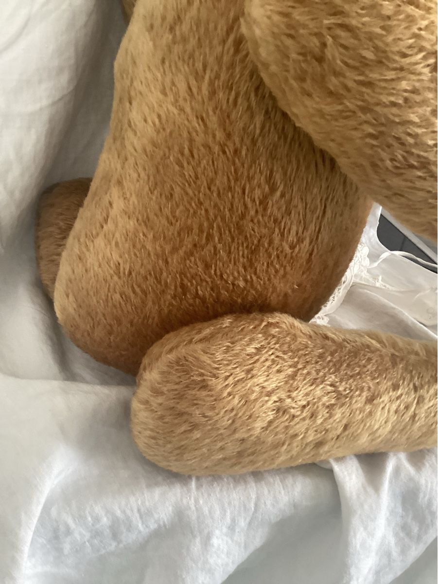 Jouets: ALTER TEDDY – D'occasion à Münchenstein par NoSu98 5