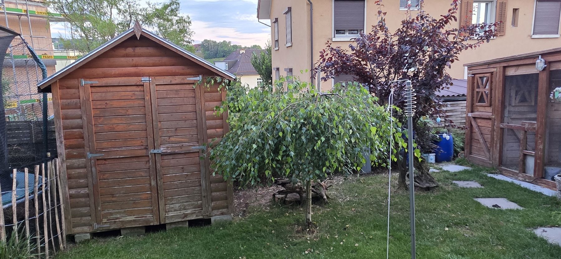 Pflanzen & Samen: Trauerbirke – Gebraucht aus Menzingen von vannessa.studer 1