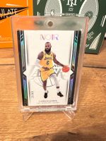 LeBron James Noir /49