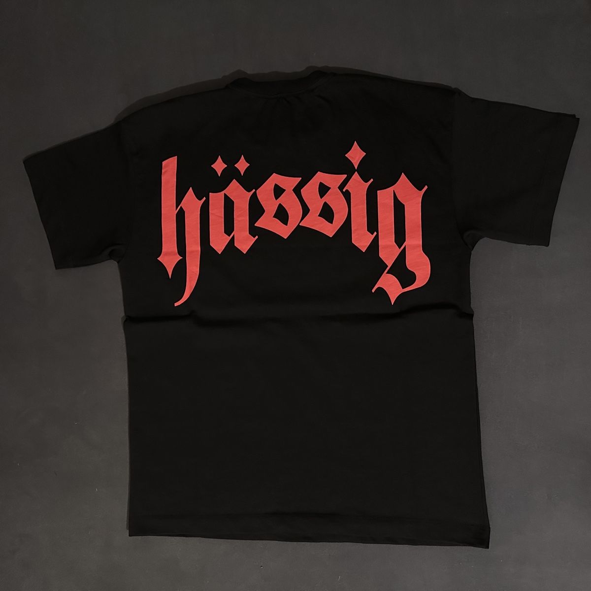 Hässig T-shirt: Hässig Logo Shirt – Nuovo e nell'imballaggio originale da Uster venduto da Jasonderulo 1