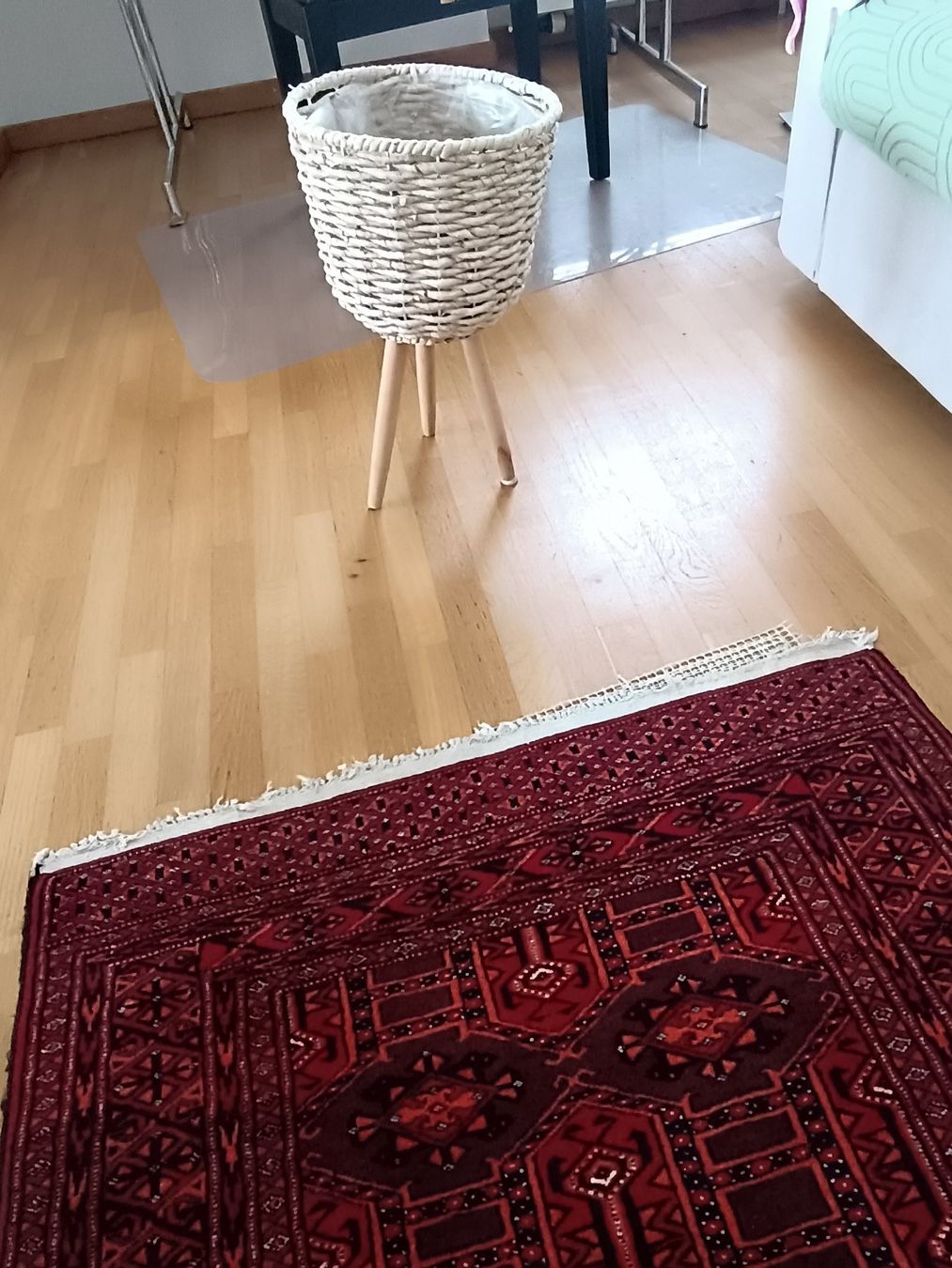 Altro per la casa: Trendiger Pflanzenständer – Usato da Dübendorf venduto da phoebe013 2