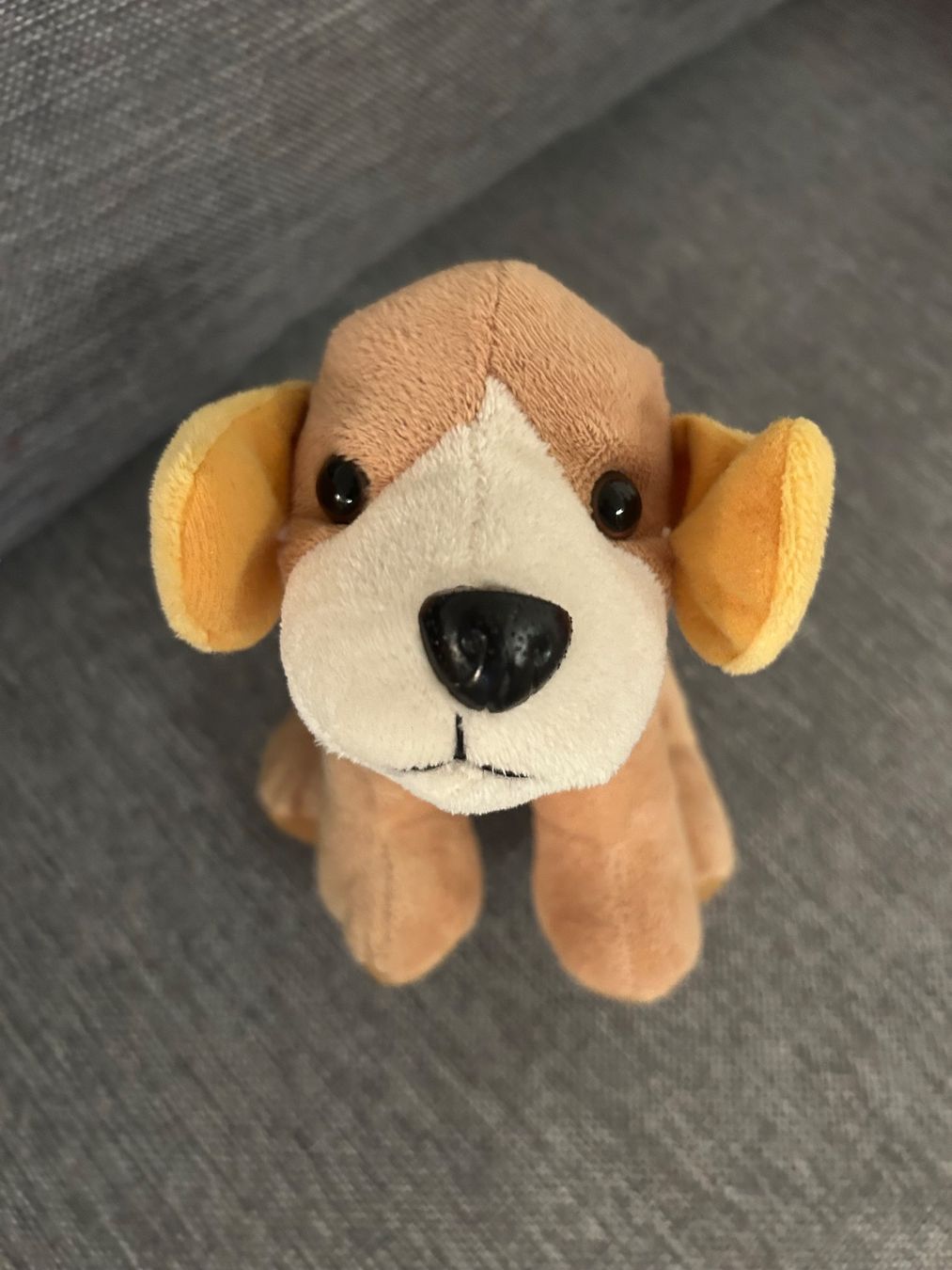 Spielzeuge: Hund Kuscheltier Spielzeug – Neu (gemäss Beschreibung) aus Wabern von belka72 1