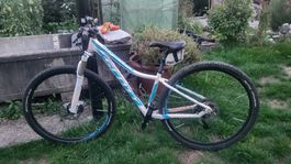 Scott Scale Mountainbike, Rahmengrösse S, 29 Zoll