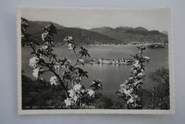 AK Lago Maggiore - Le Isole viste da Stresa