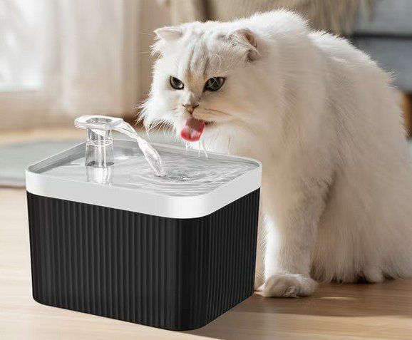 Stagni & Fontane ornamentali: Fontaine pour chat 2.5l – Nuovo (secondo la descrizione) da Lutry venduto da kylab7