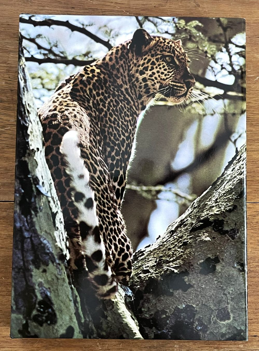 Bücher: Silva Verlag, Zoo Ostafrika, 1966 – Gebraucht aus Oftringen von Vucki
