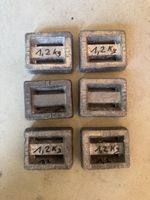 6x Blei Gewichte 1,2 kg Tauchen