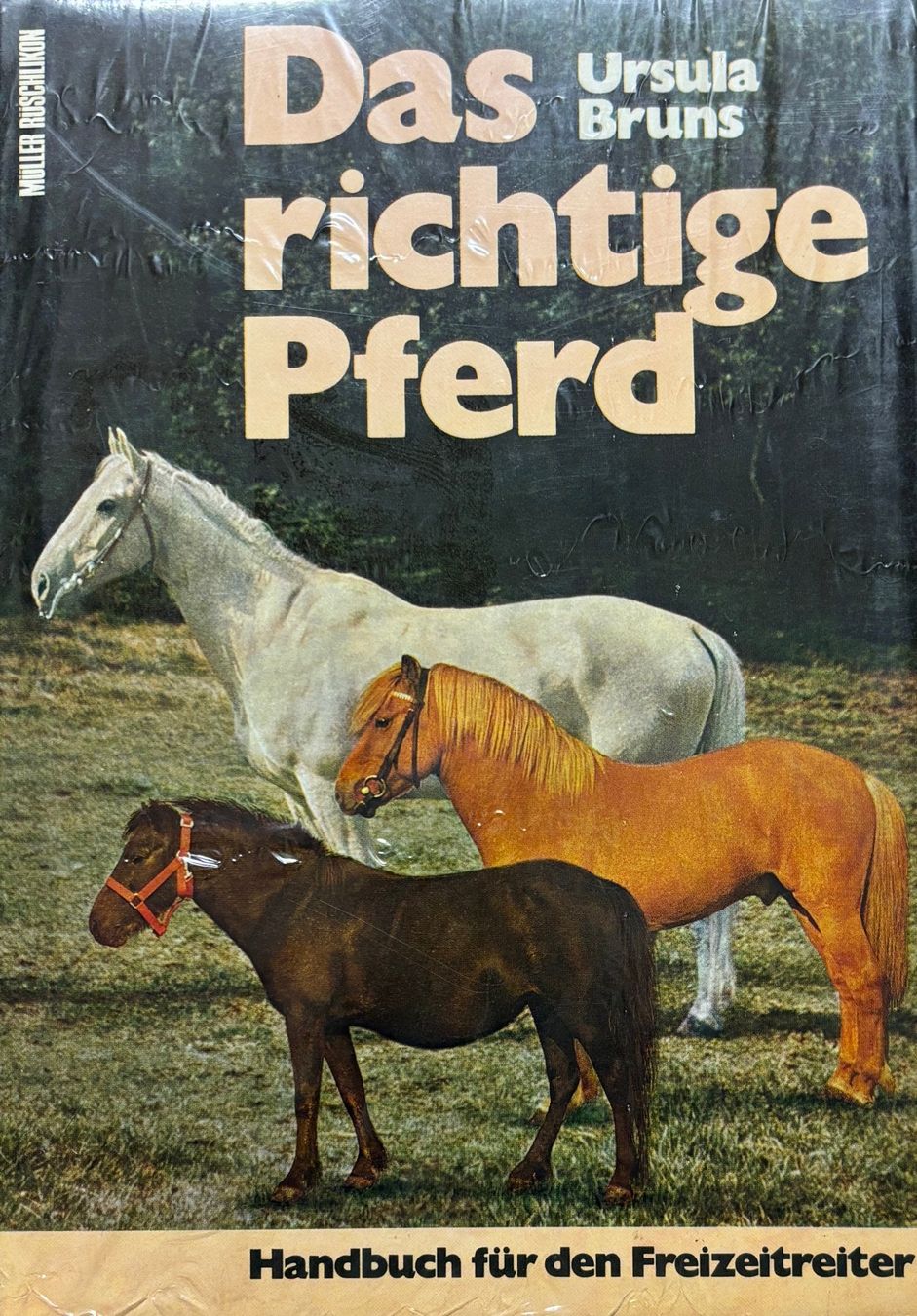 Bücher: Das richtige Pferd (Ursula Bruns) – Neu (gemäss Beschreibung) aus Sarnen von