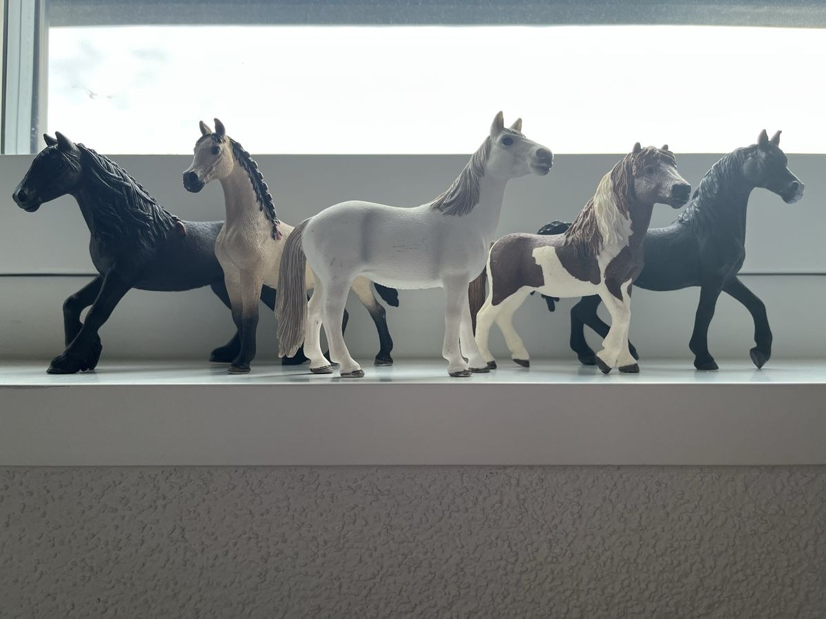Schleich Giocattoli: Schleich Pferde 5 Set – Usato da Pfäffikon ZH venduto da mal_xs7b