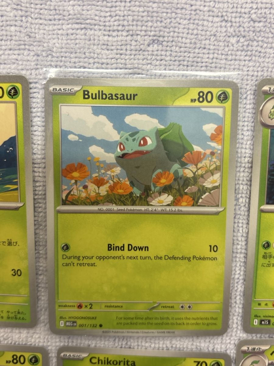Pokémon Carte collezionabili: 6 Pokemon Karten Set Pflanzen Typ  – Usato da Dietikon venduto da PokemonSwissSpotify 3