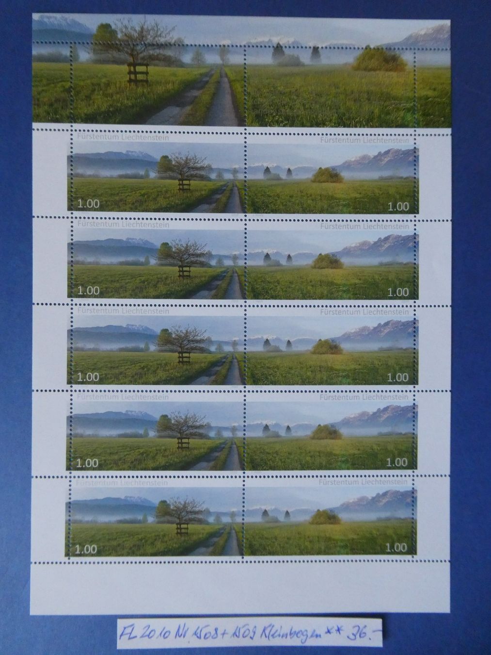 Tutti i francobolli: FL 2010 Nr. 1508+1509 Kleinbogen postfrisch ** – Usato da Lausen venduto da Herbamare01