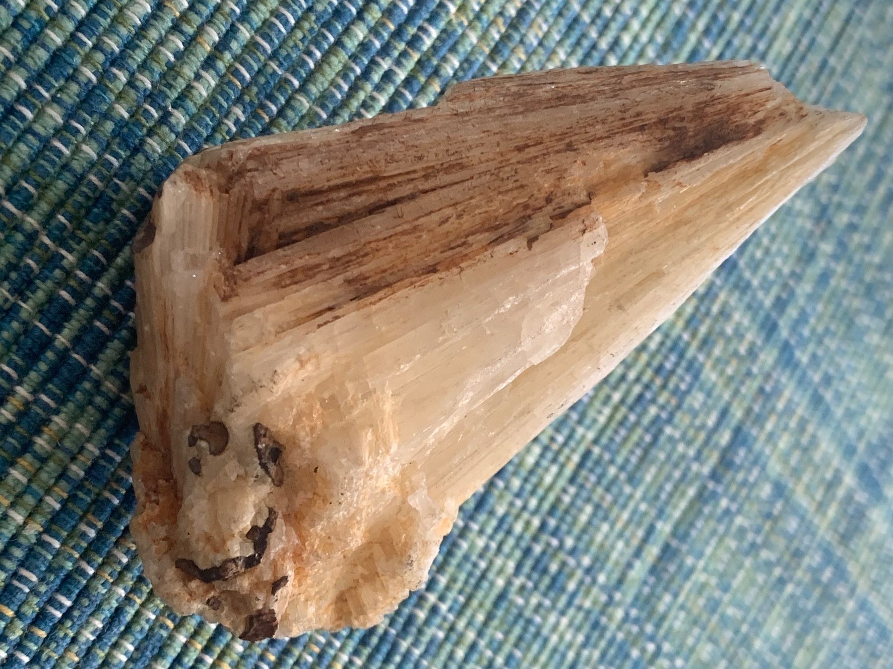 Fossili: Interessantes Mineral? – Usato da Basel venduto da Akinom50 1