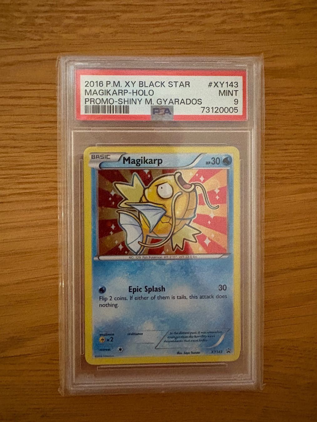 Pokémon Cartes à collectionner: Magikarp Black Star Promo – D'occasion à Bonstetten par vonap