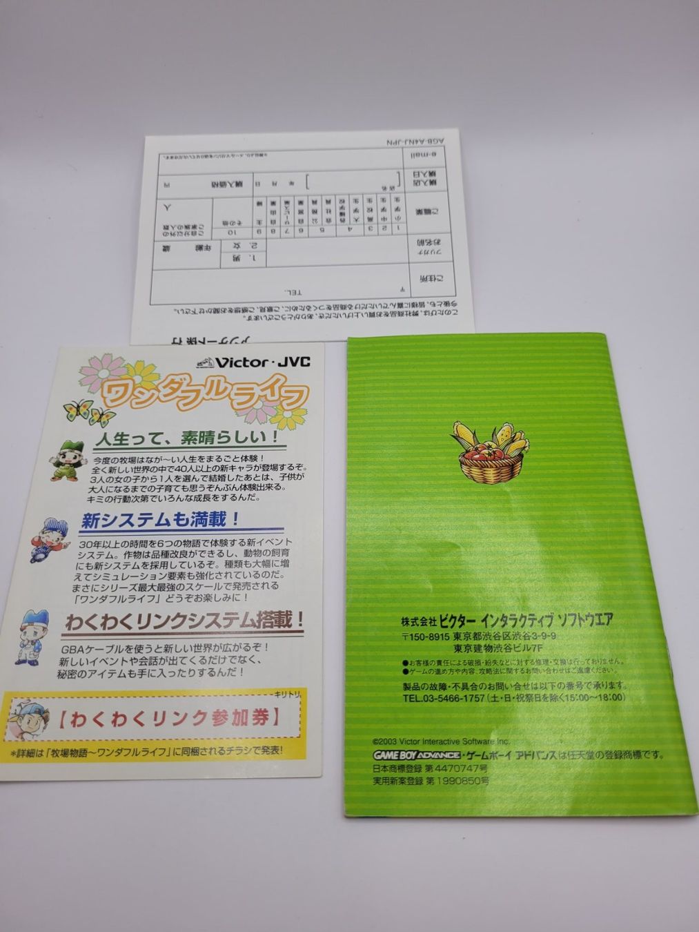 Nintendo Giochi: Gameboy Advance Harvest Moon Jap. OVP Complete – Usato da Münchenstein venduto da danytlaw 4