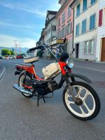 Pony GTX 503 | 3'100 km | Fahrbereit | Ausweis vorhanden