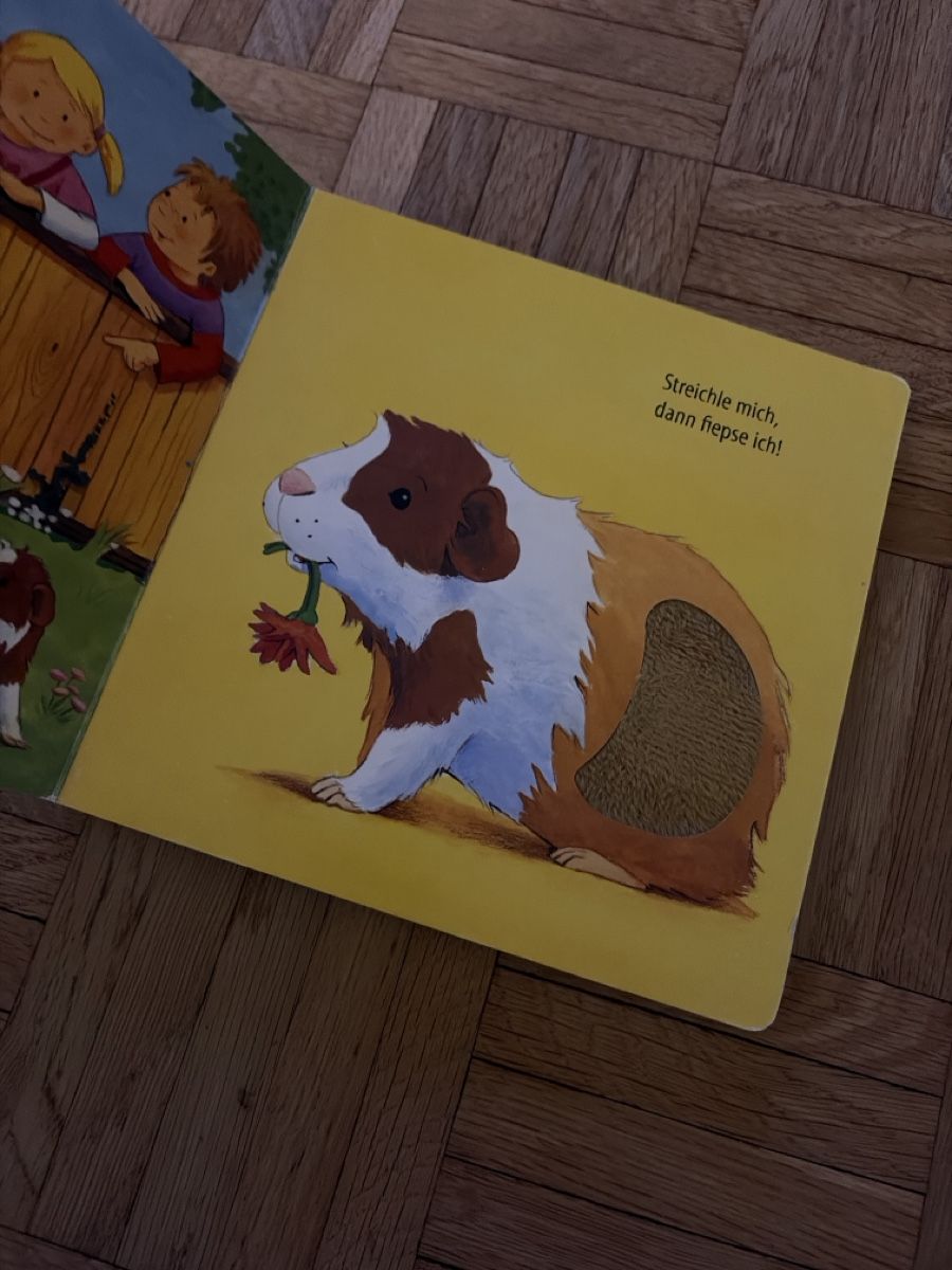 Libri: Streichle mich, dann wiehere ich – Usato da Au ZH venduto da schneebi88 2