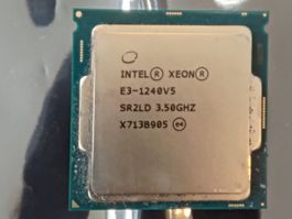 XEON E3-1240V5  4 Kerne 3.50 GHz 8 MB Intel
