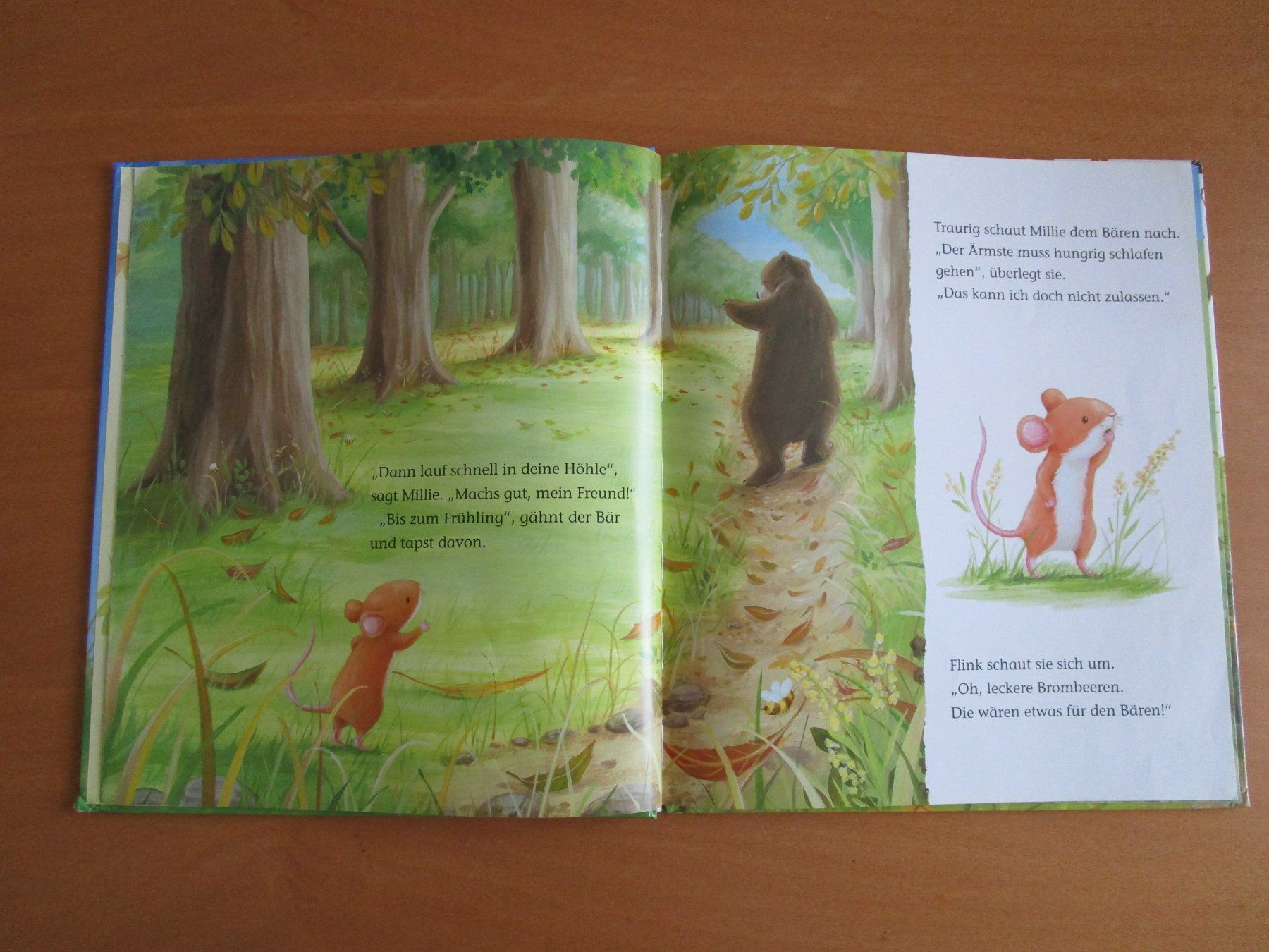 Bücher: Kinderbuch: Die kleine Maus – Gebraucht aus Langenthal von majarose 2