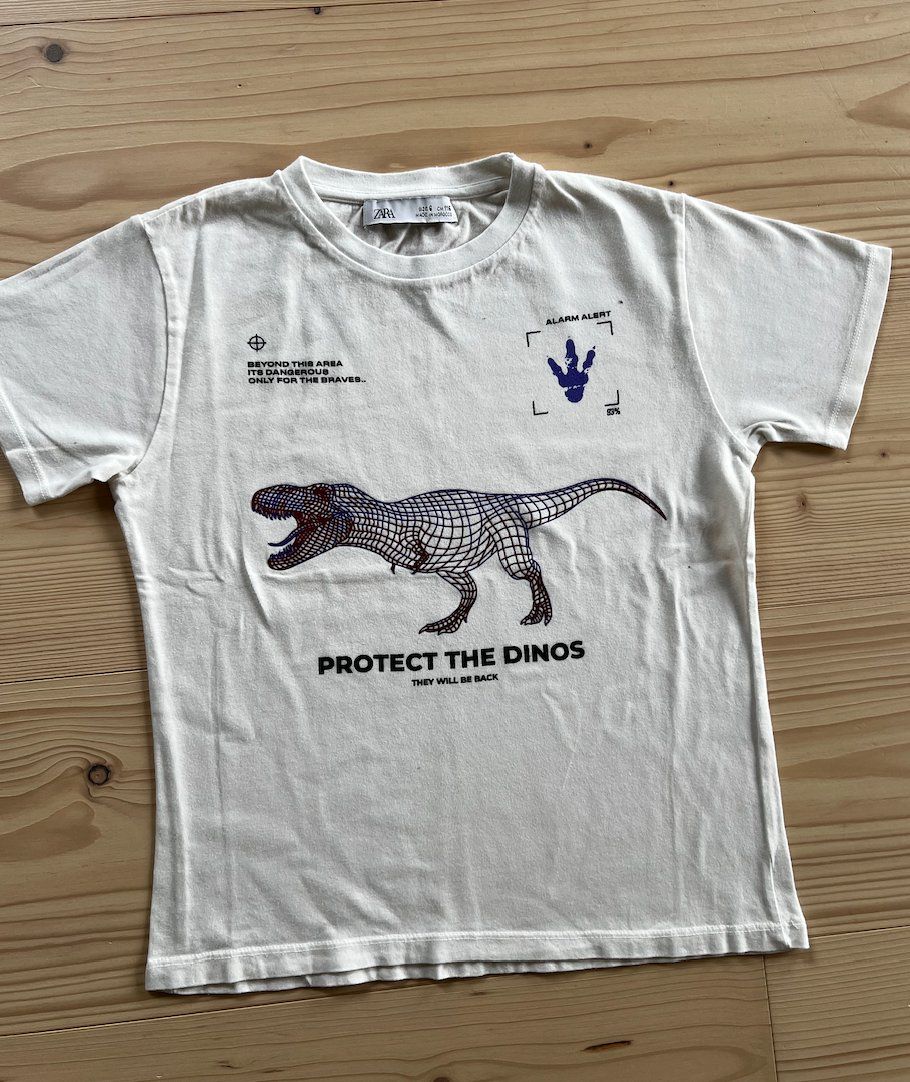 Zara Camicie, T-shirt & Polo: T-Shirt von ZARA Gr.116 – Usato da Zürich venduto da normanprice
