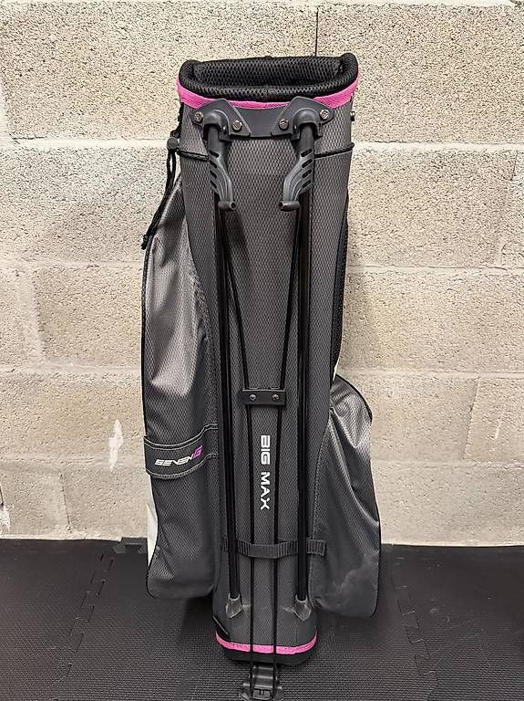 Borse da donna: Sac golf femme  – Usato da La Rippe venduto da jpu_z5ql 2