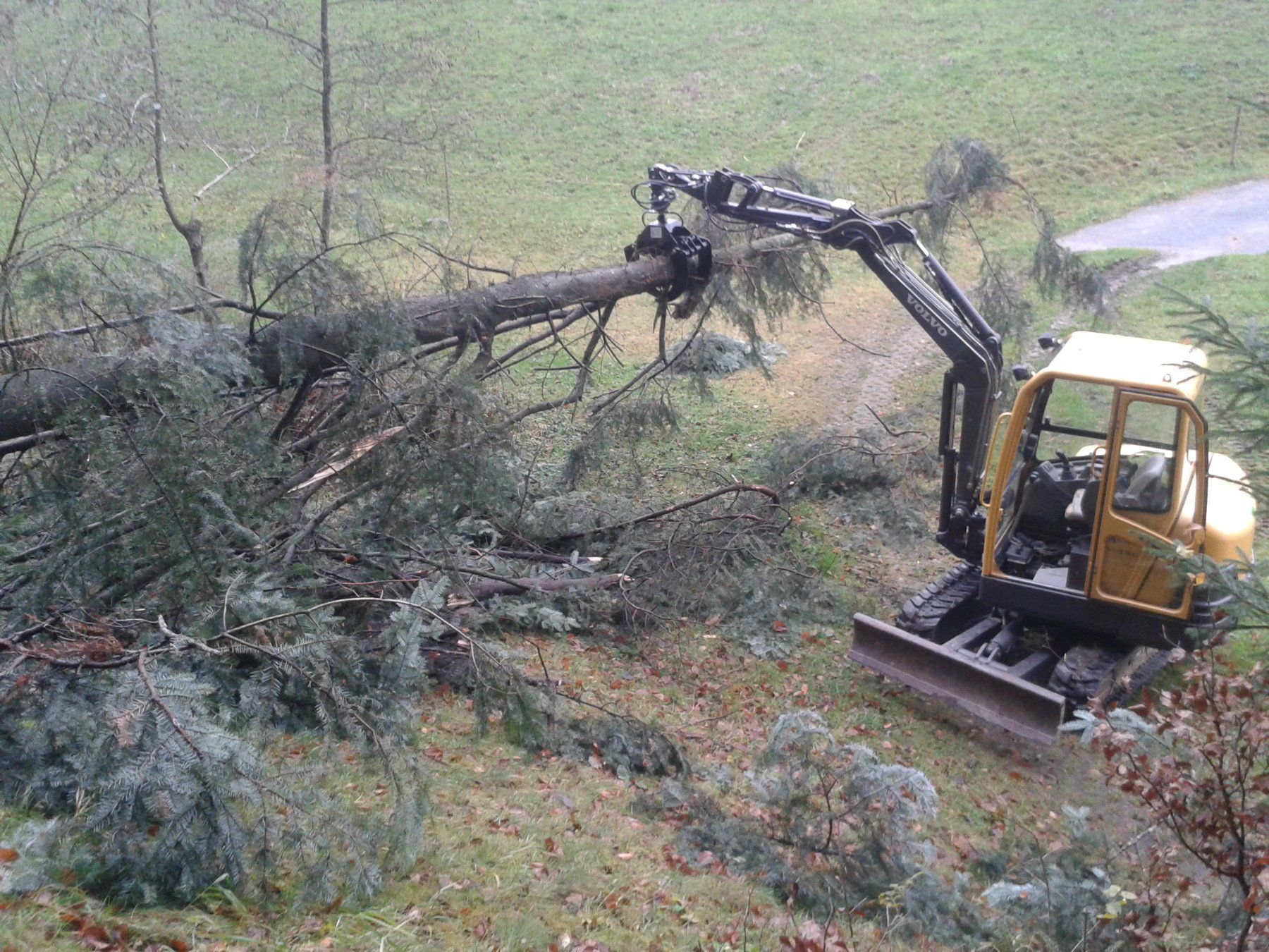 Volvo Escavatori: Bagger Volvo EC 25 – Usato da Reiden venduto da Stifi87 8