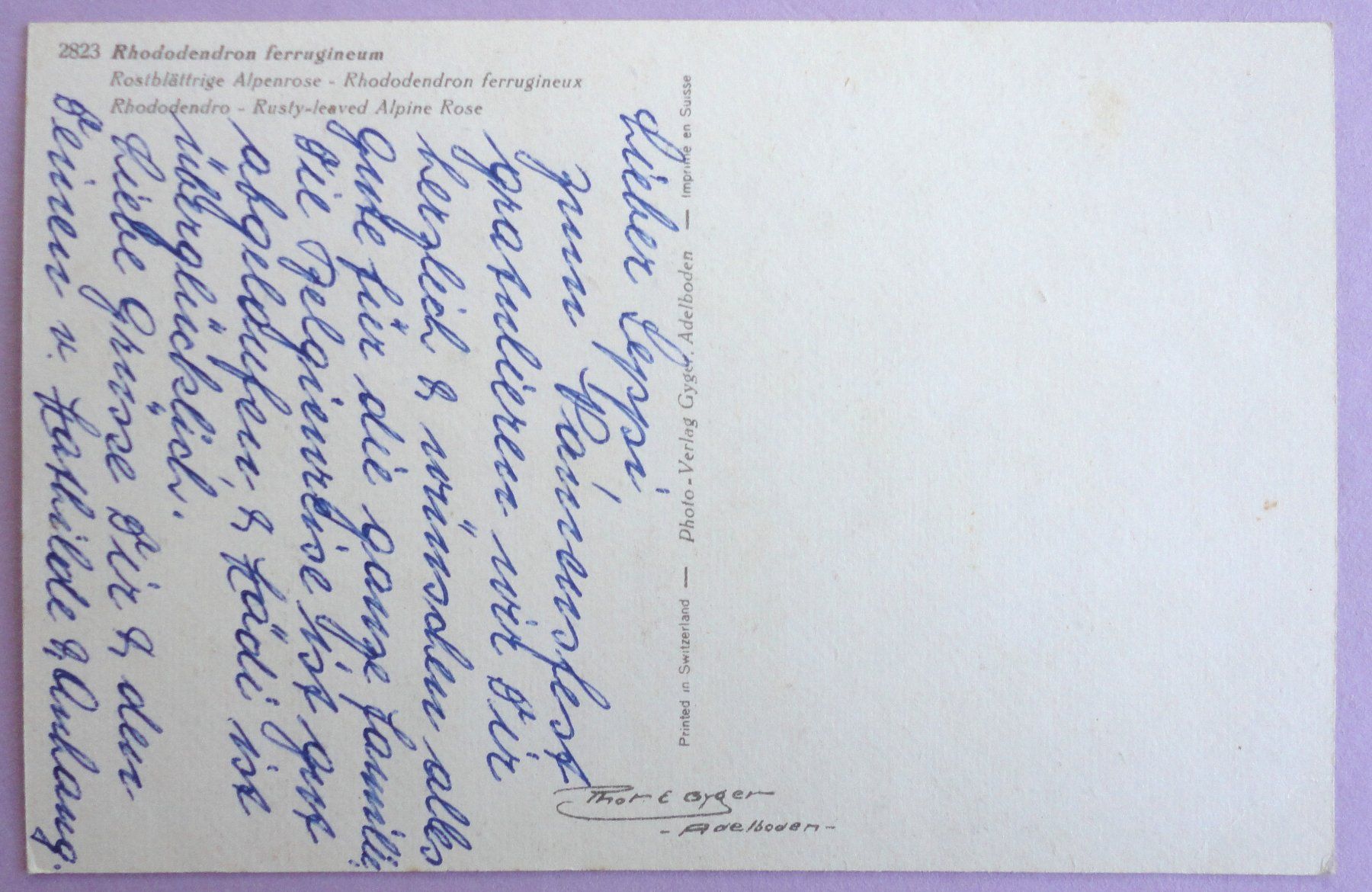 Cartoline postali: Rhododendron ferrugineum – Usato da Fétigny venduto da Billy2miny 1
