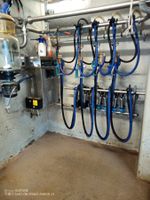 Rohrmelkanlage DeLaval Melkmaschine Milchtank