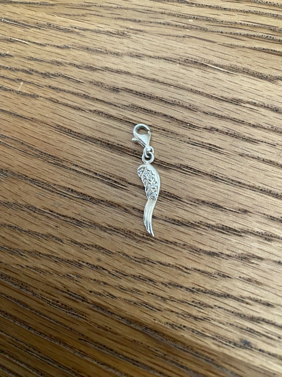 Thomas Sabo Ciondoli: Thomas Sabo Charm Engelsflügel – Usato da Muri AG venduto da sonneblueme10