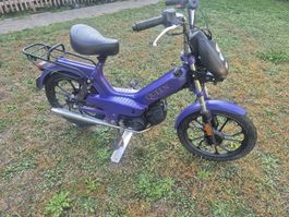 Tomos Queen Mofa – Läuft & bremst mit Fahrzeugausweis