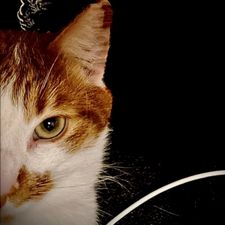 Profile image of Michae_l