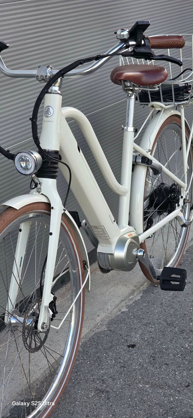 Ego Movement Biciclette: EGo Movement E-Bike 25km/h.S – Usato da Dällikon venduto da Mathias.A 1