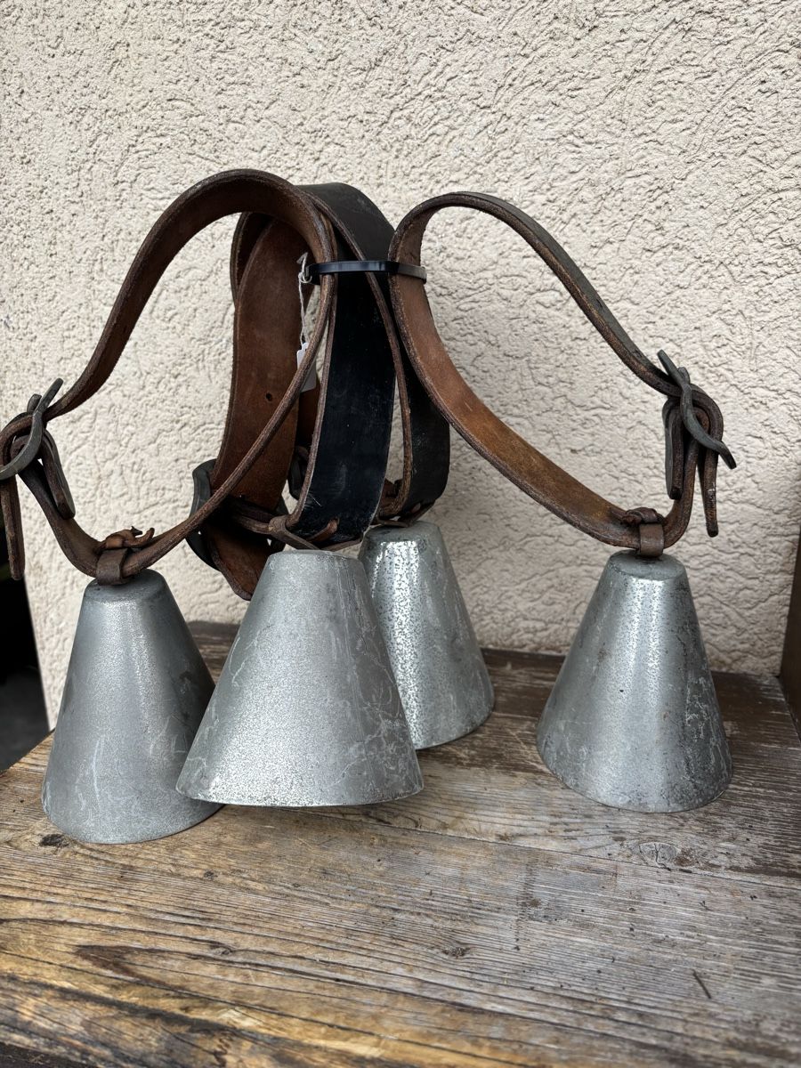 Cloches & sonnailles: Schaf/Ziegenglocken. – D'occasion à Schangnau par Roseggli82 3