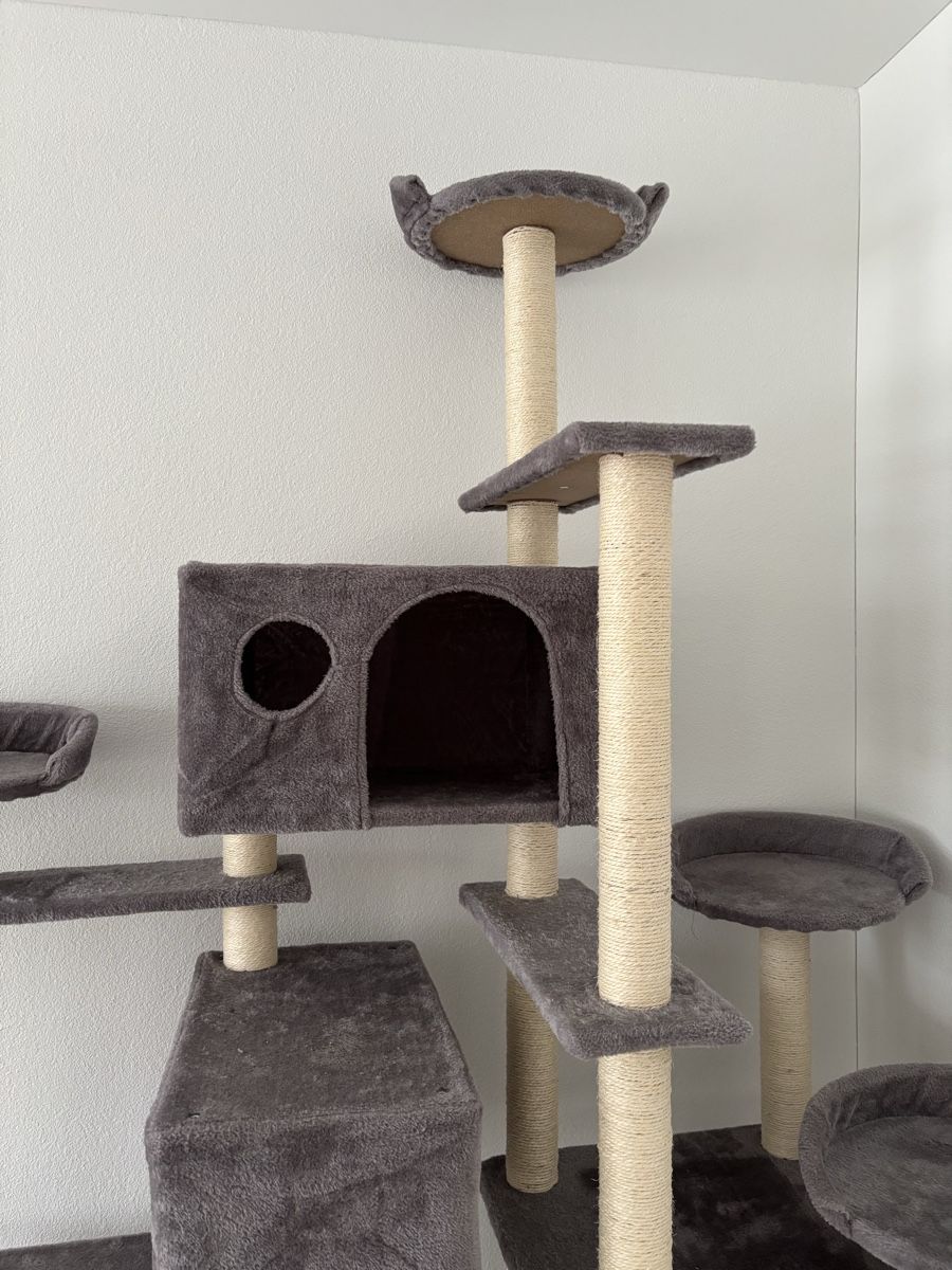 Tiragraffi: Kratzbaum Katzen 214cm grau – Usato da Lömmenschwil venduto da tmr_xx 2