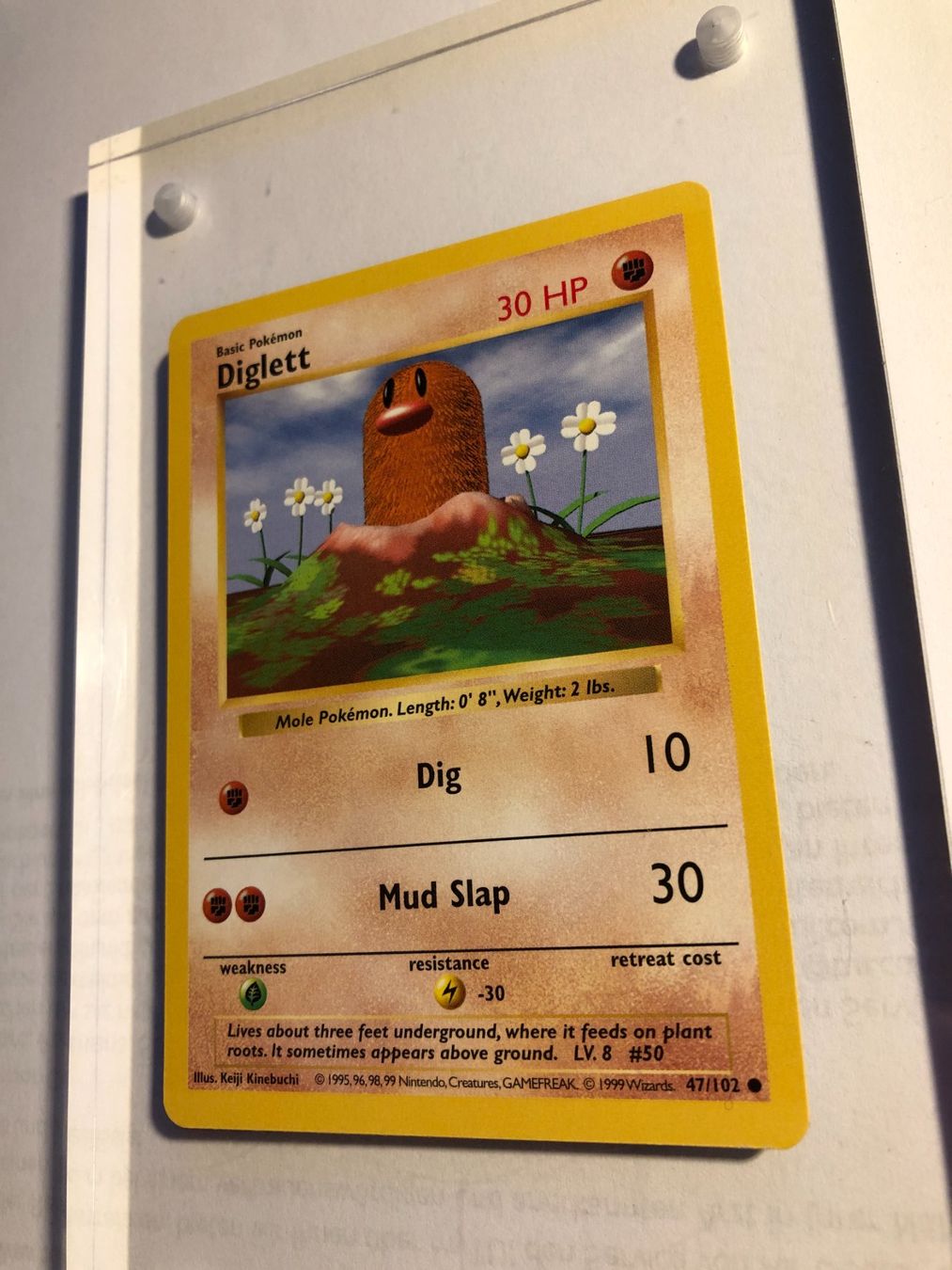Cartes à collectionner: Diglett Base Set Shadowless - MINT - ab 1.- – D'occasion à Giubiasco par dan_pr8b 2