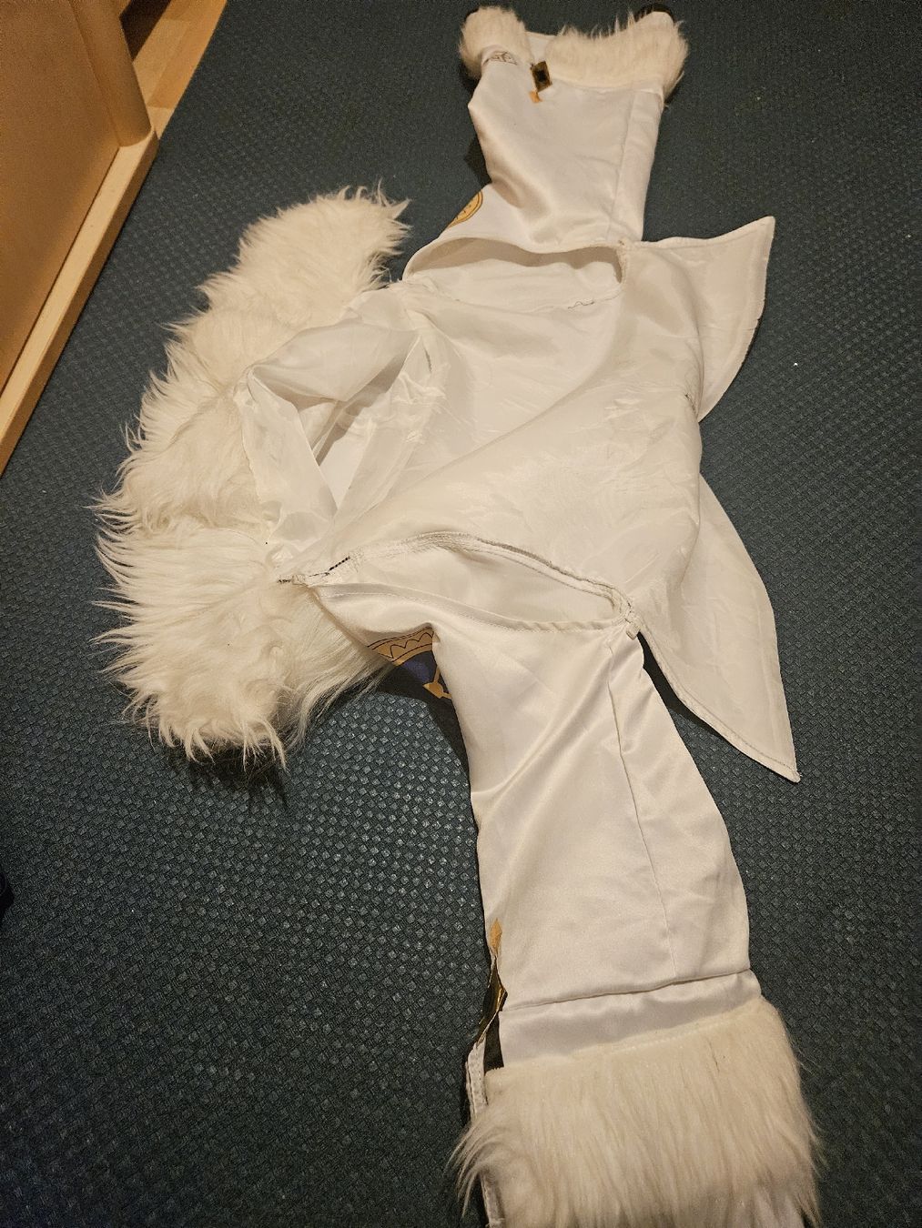 Costumi: Yelan Cosplay – Usato da Niederweningen venduto da cri_rq67 8