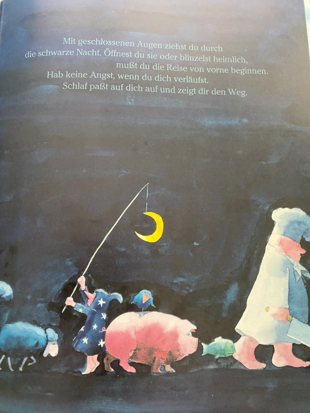 Libri: Die wunderbare Reise durch die Nacht – Nuovo (secondo la descrizione) da Sachseln venduto da basti1950 4